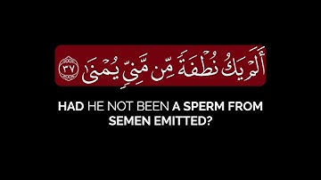 أيحسب الإنسان أن يترك سدى | جابر القيطان شاشةسوداء قرآن بدون حقوق سورة القيامة كروما قرآن کرومات