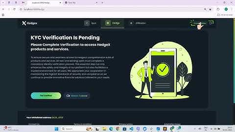 How to connect Metamask wallet to Hedgex Dex