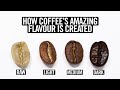 Coffee roasting explained