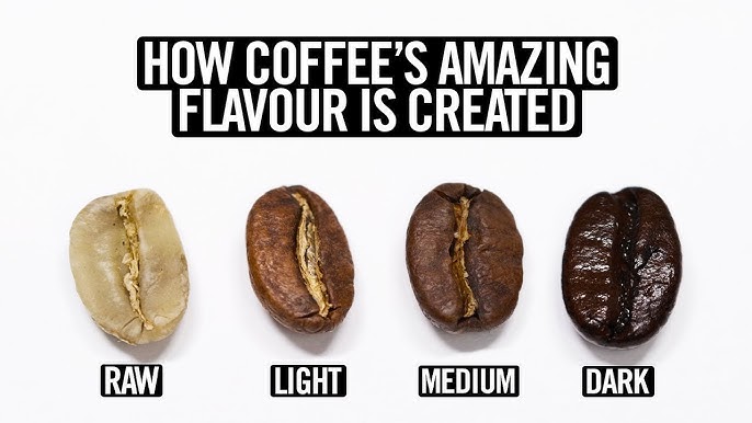 Everything you ever wanted to know about fermented coffee