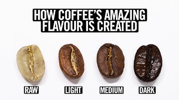 Coffee Roasting Explained