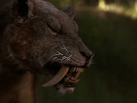 Sabretooth 2002 Smilodon Screen Time