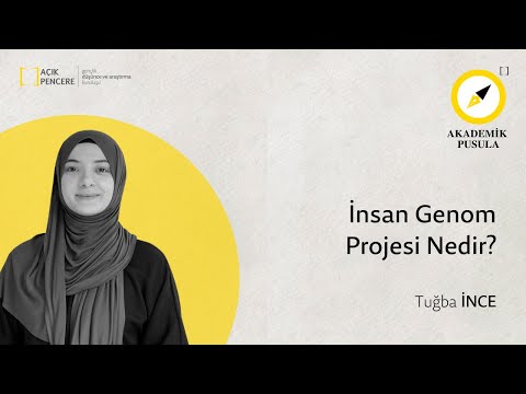 Video: İnsan Genom Projesinin etkisi nedir?