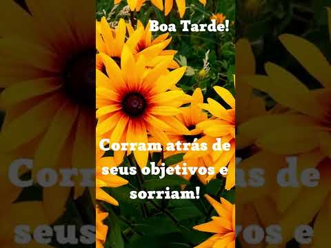 Boa Tarde -