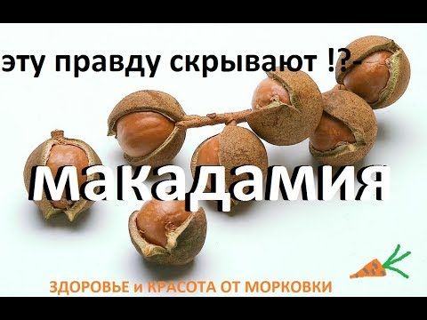 какую правду скрывают продавцы орехов макадамия !?