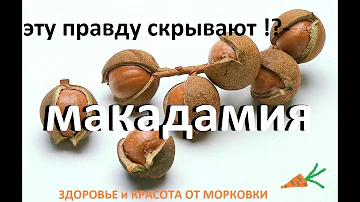 какую правду скрывают продавцы орехов макадамия !?
