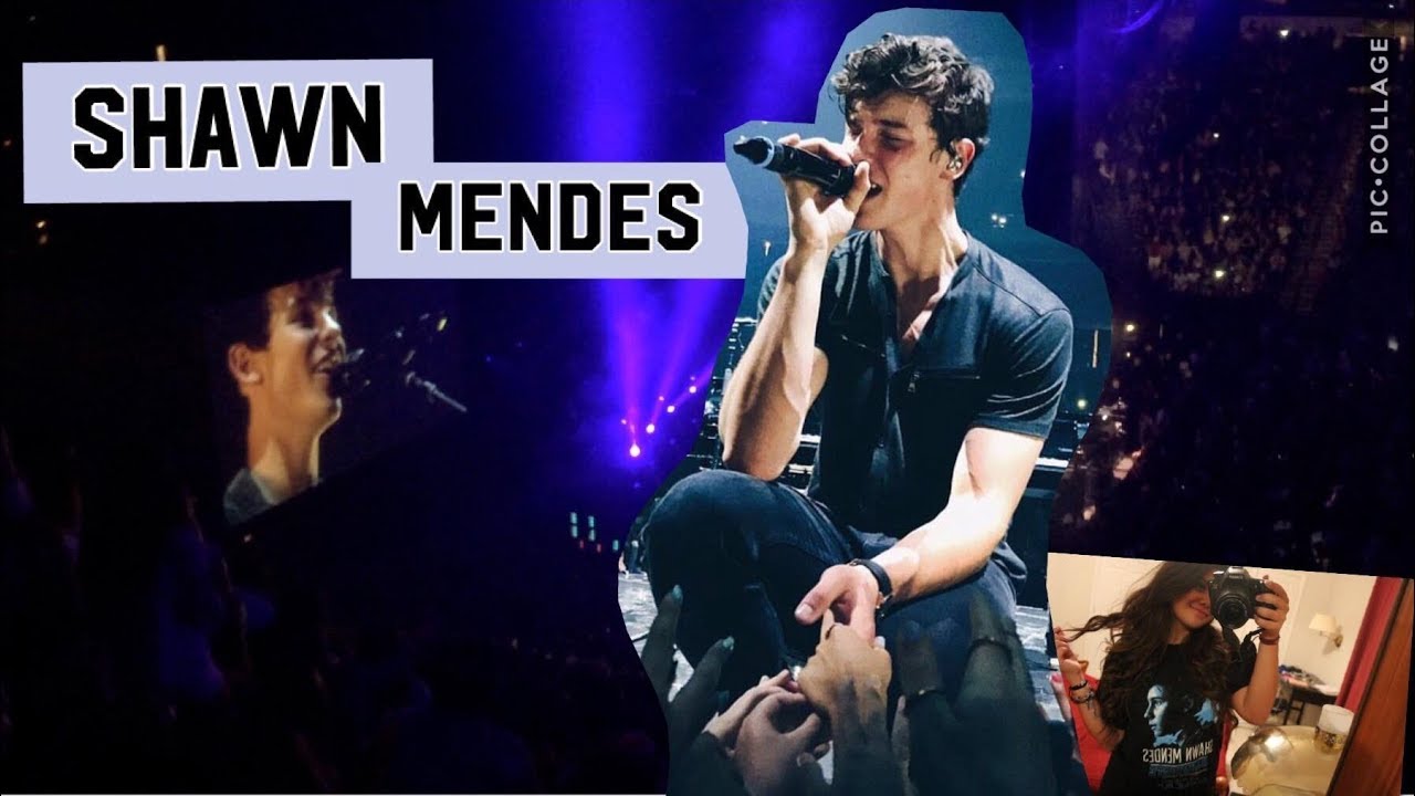 german exchange student at a shawn mendes concert dallas 07/20/17