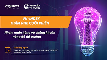 VN-INDEX GIẢM NHẸ CUỐI PHIÊN| NHỊP ĐẬP THỊ TRƯỜNG 28/10/2022