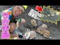 行きたい所に全部行く！大三島の旅！【ロードバイク】