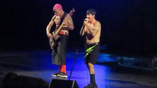 Red Hot Chili Peppers - Black Summer - Hard Rock Miami 8/30/2022