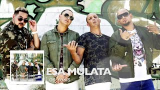 LOS YAKIS   ESA MULATA DJ JOSE EL FEO 2021