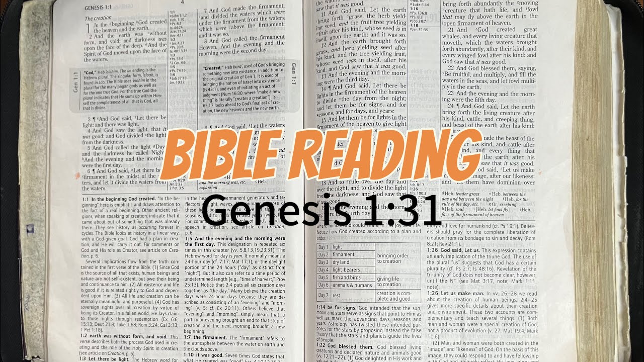 Bible reading: Genesis 1:1-31