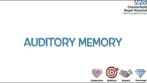Auditory Memory Activities