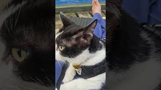 good morning and have a good life for all of us