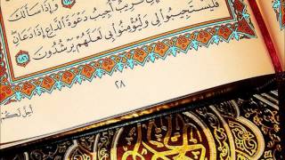 سورة الفرقان   توفيق الصائغ