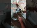wall hanging commode point 🚽 #plumbingtime #plumbing #construction #shortvideo