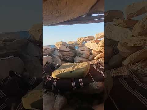 صيد البط في ليبيا Youtubeshorts Free Viral Edit Freefire Foryou Gaming Funny F Usa