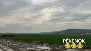 Kürtçe Fikra - Meselok Pêkenok - Amade: Mihemed Delal Şfet