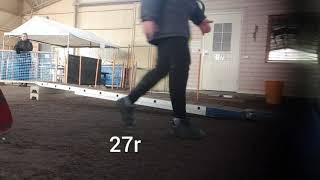 Vanttu 22.3