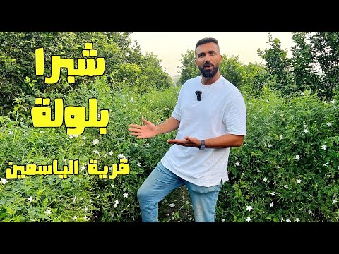 قرية مصرية اهلها يعملون في صناعة افخم عطور العالم