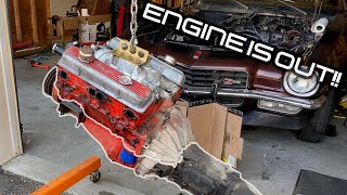 L82 ENGINE is OUT of the 1973 Camaro! What Went Wrong?! Revealing it's PAST LIFE!