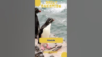 👉 Follow Quiz Time  challenging questions!#quiztime  #shorts #viral #didyouknow  #video #animals