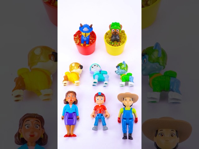 Satisfying & Unboxing with Paw Patrol Toys Collection #pawpatrol​ #pawpatroltoys​ #usa​