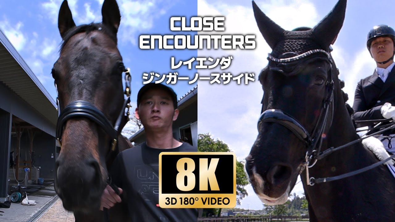 CLOSE ENCOUNTERS】サラブレット -レイエンダ- 全日本馬場馬術
