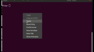MongoDB update operators - $unset