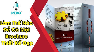 Thiết Kế Logo #74 | Brochure Là Gì? Làm Thế Nào Để Có Một Brochure Thiết Kế Đẹp?