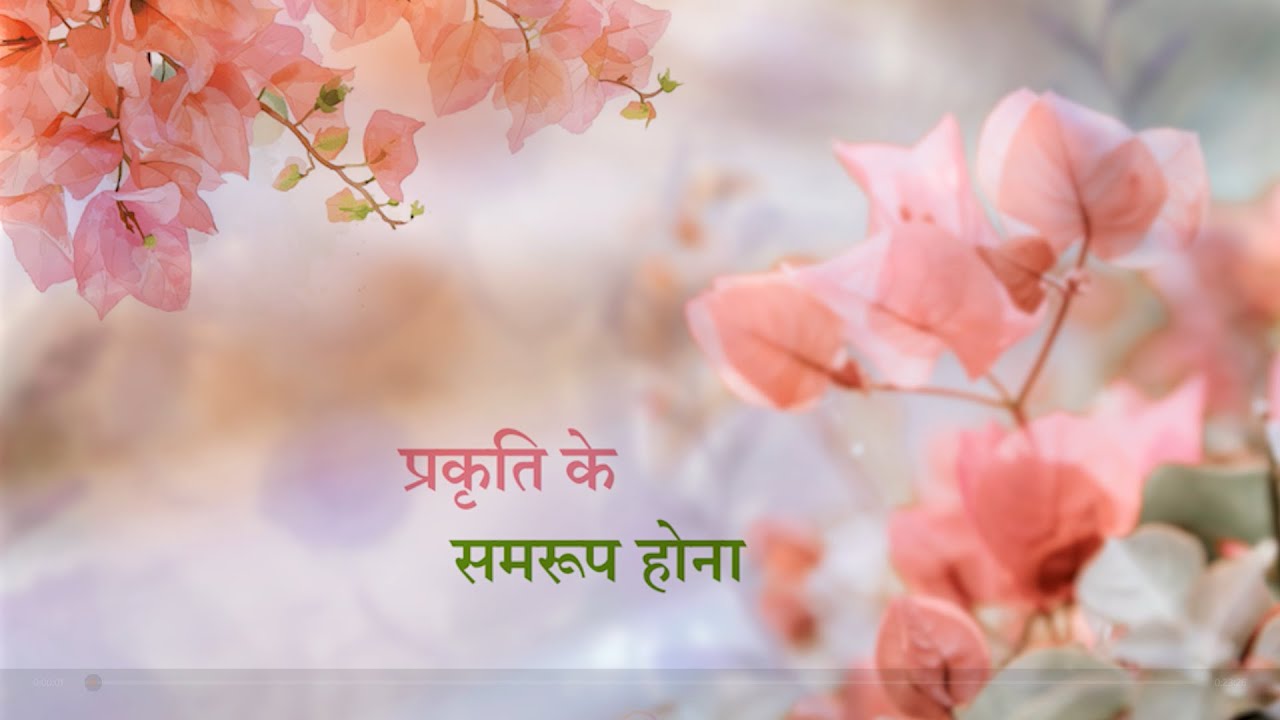 प्रकृति के समरूप होना | Being Identical with Nature | Daaji