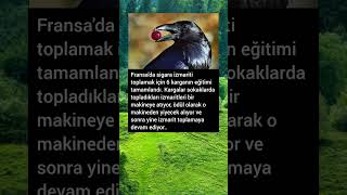 Milletin Kargası Bile Eğitimli