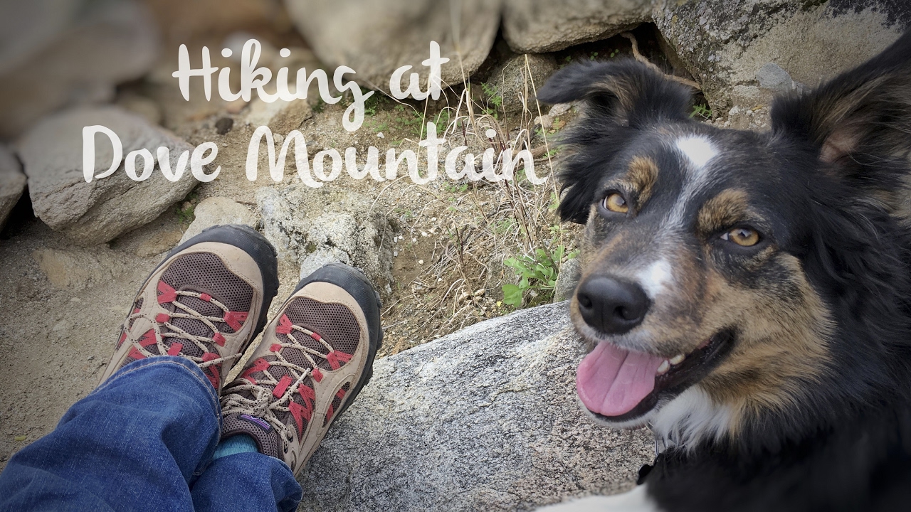 Hiking Dove Mountain with Dogs Tucson Dog Friendly Hikes YouTube