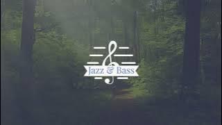 Liquid Drum and Bass Mix 2023 - LTJ Bukem