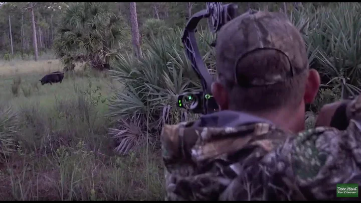 Monster Wild Boar Spot n' Stalk {Catch Clean Cook} Home Made Country Sausage