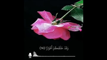 راحة نفسية 🌸- حالات واتس اب دينية - ستوريات قرآن كريم🌸 - مقاطع انستغرام دينية قصيرة - سورة نوح