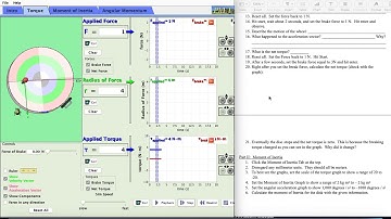 Lady Bug Simulation: Step by Step