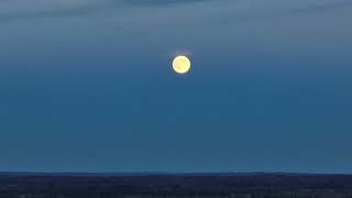 Full Moon On November 15, 2024
