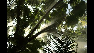 Light Rays, How To Capture Them