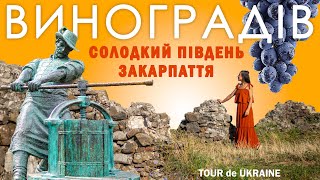 картинка: Найсолодший вулкан Закарпаття. Вода зі смаком лави, вино з глиною, королівський спадок Європи