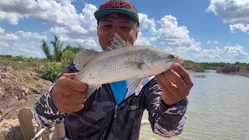 CÂU CÁ NƯỚC MẶN, NHỮNG LOÀI CÁ CÓ TẬP TÍNH SĂN MỒI