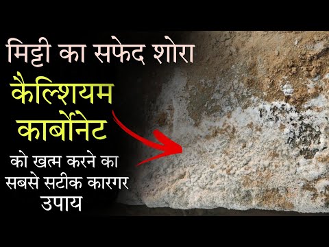 वीडियो: क्या कार्बोनाइट आपके कंप्यूटर को धीमा कर देता है?