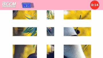 Câu đố tìm con vật trong bức ảnh | Đây là con gì?