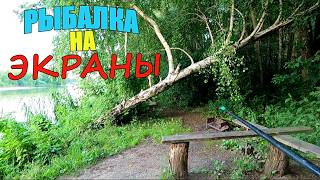 За час пол ведра РЫБЫ!!! РЫБАЛКА с женой на ЭКРАНЫ