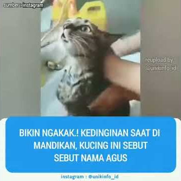 Manggil agus😂😂