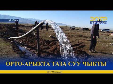 ОРТО-АРЫКТА ТАЗА СУУ