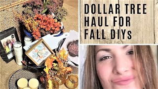 DOLLAR TREE HAUL for upcoming Fall DIYs - NEW FALL FLORALS at Dollar Tree