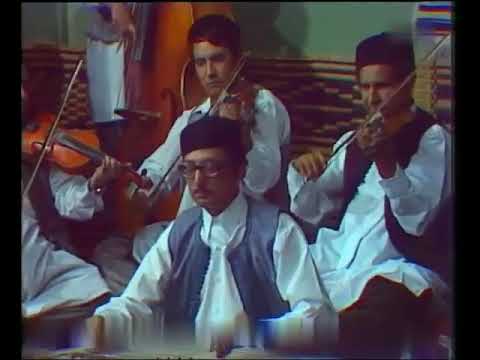 محمد رشيد مشيتي وين