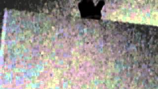 Eend En Kikker Gaan Verstoppertje Spelen