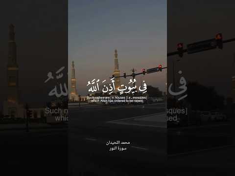 محمد اللحيدان سورة النور